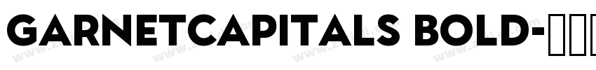 GarnetCapitals Bold字体转换